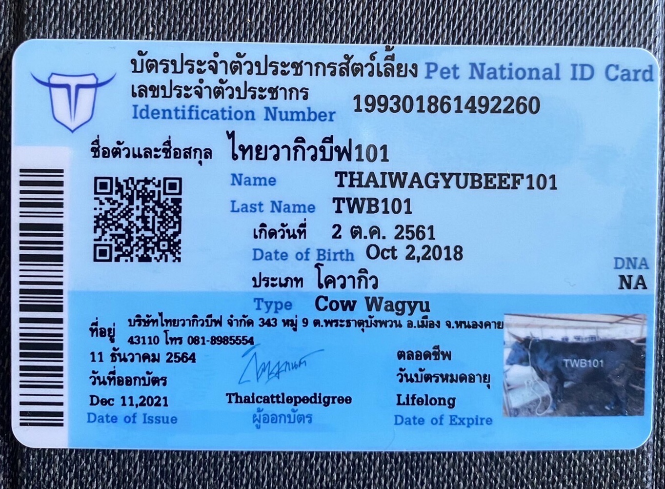 63a2b72182c81c194f5d9fa3cf3f52c9154b29cac9d9a1f79f81420dcd23d5db.jpeg